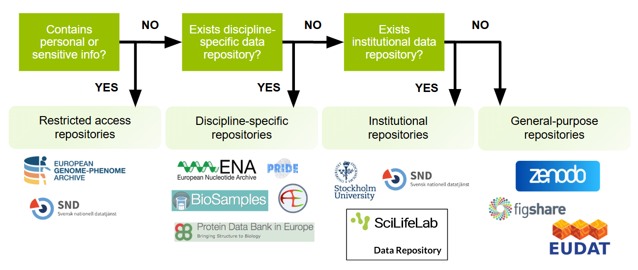 Repository overview