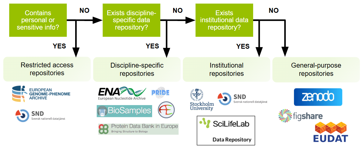 Repository overview